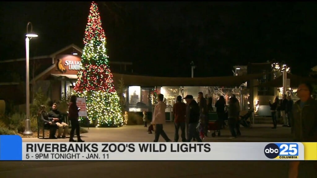 Local Living: Riverbanks Zoo's Annual Wild Lights
