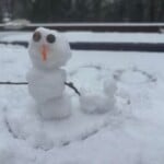 20260131walkingeagleburr