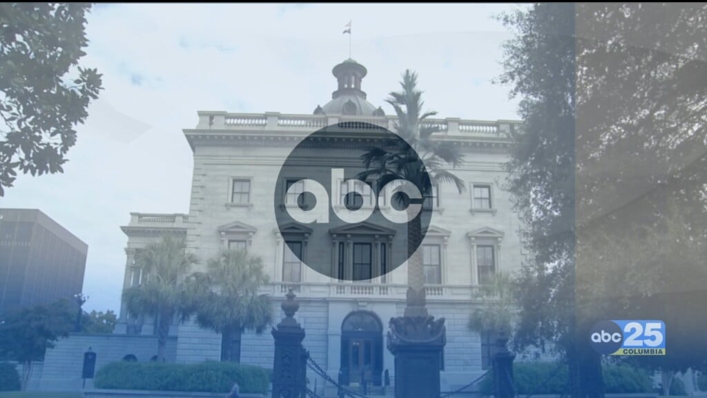 Sc Senate Democrats Introduce Family Protection Act