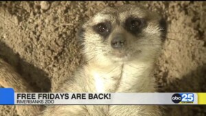 Local Living Jan. 9, 2026