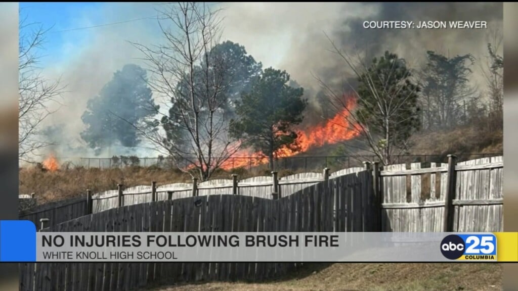 No Injuries Following Brush Fire