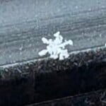 20260131leighannearthur