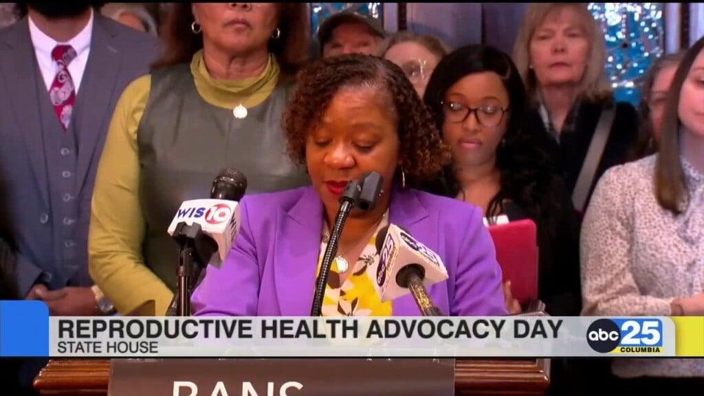 Reproductive Health Advocacy Day At The Sc State House