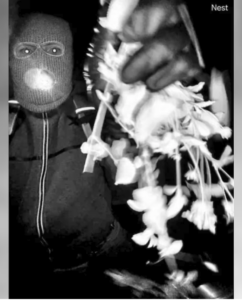 disappearance of Nancy Guthrie