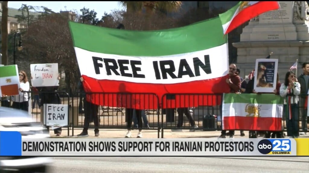 Demonstration Shows Support For Iranian Protestors