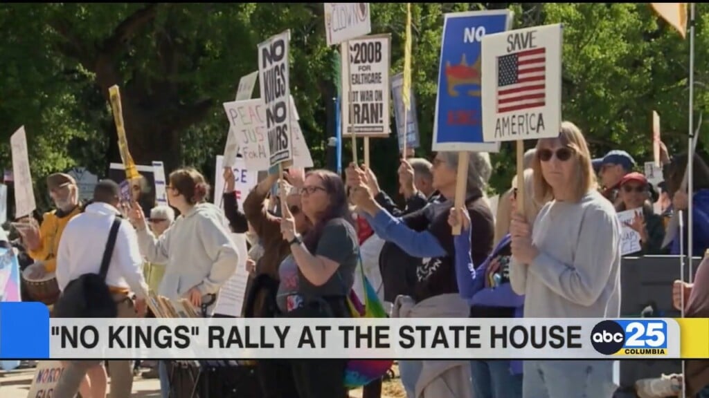 "no Kings" Rally Draws Large Number Of Protesters, Political Figures