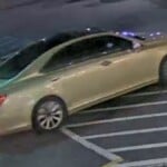 Alleged Shoplifter 3