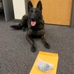 K9 Sam Fentanyl Seizure