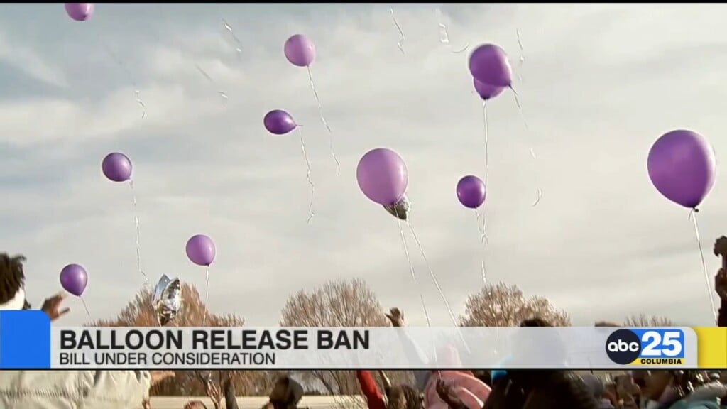 Ballon Release Ban Bill Under Consideration