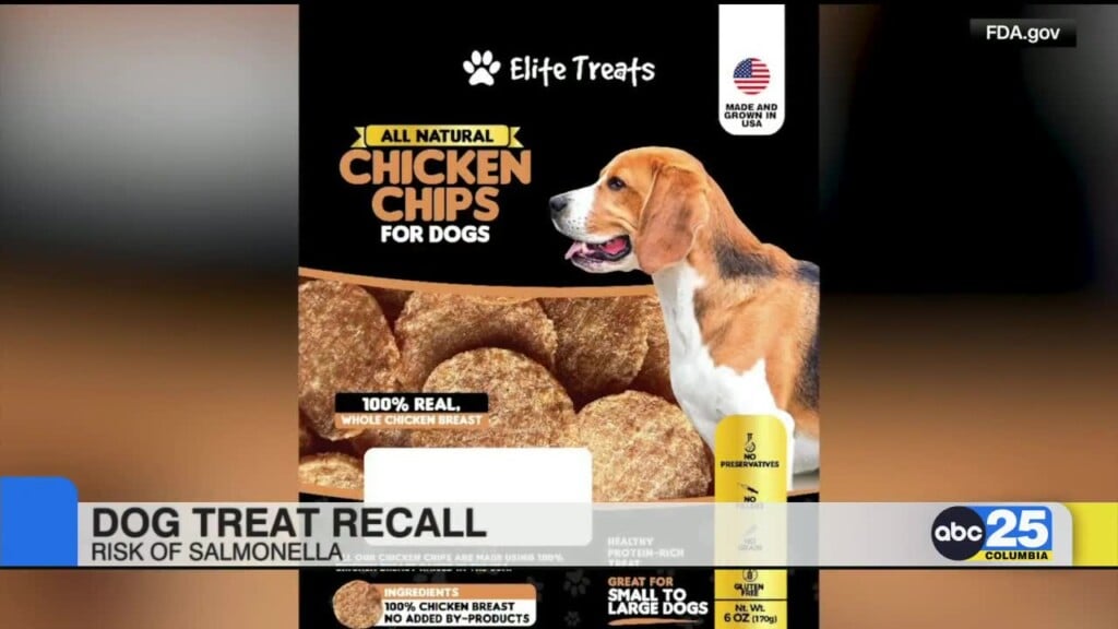 Dog Treat Recall Due To Risk Of Salmonella