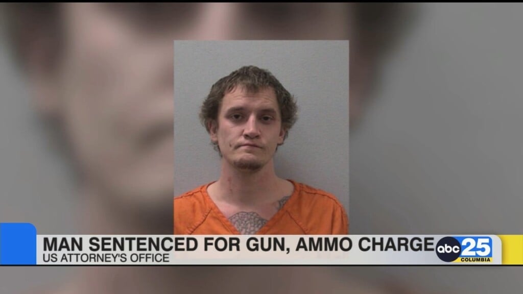 Man Sentenced For Gun, Ammo Charge