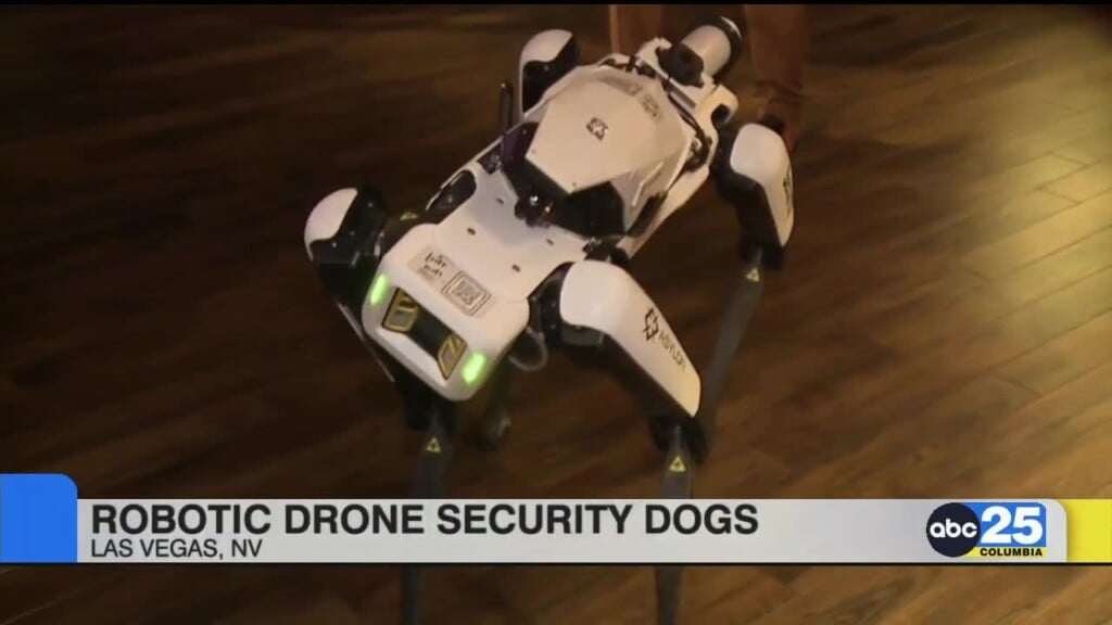 Robotic Drone Security Dogs