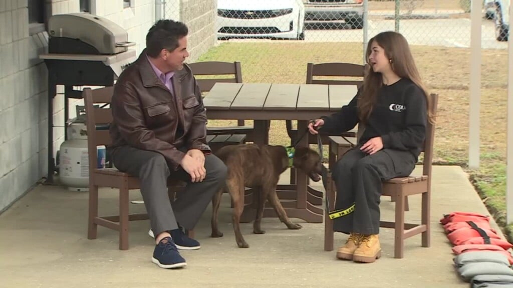 Columbia Pet Of The Week: Timber