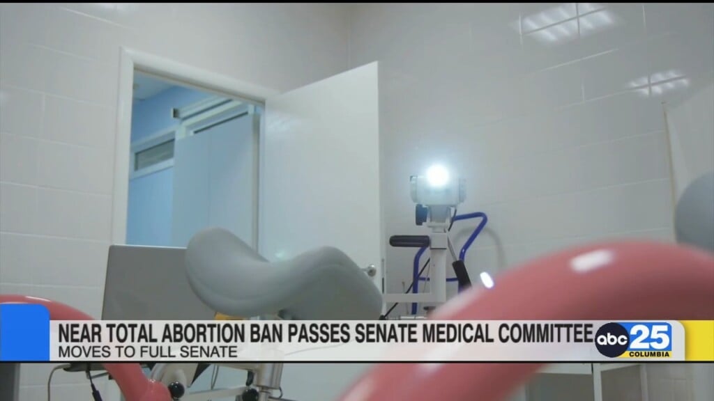 Near Total Abortion Ban Passes Senate Medical Committee