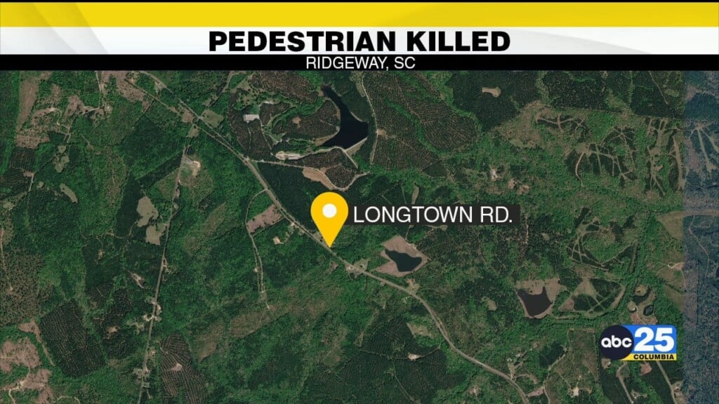 1 Killed After Collision In Ridgeway