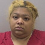 Watkins Laodicia Butterfly