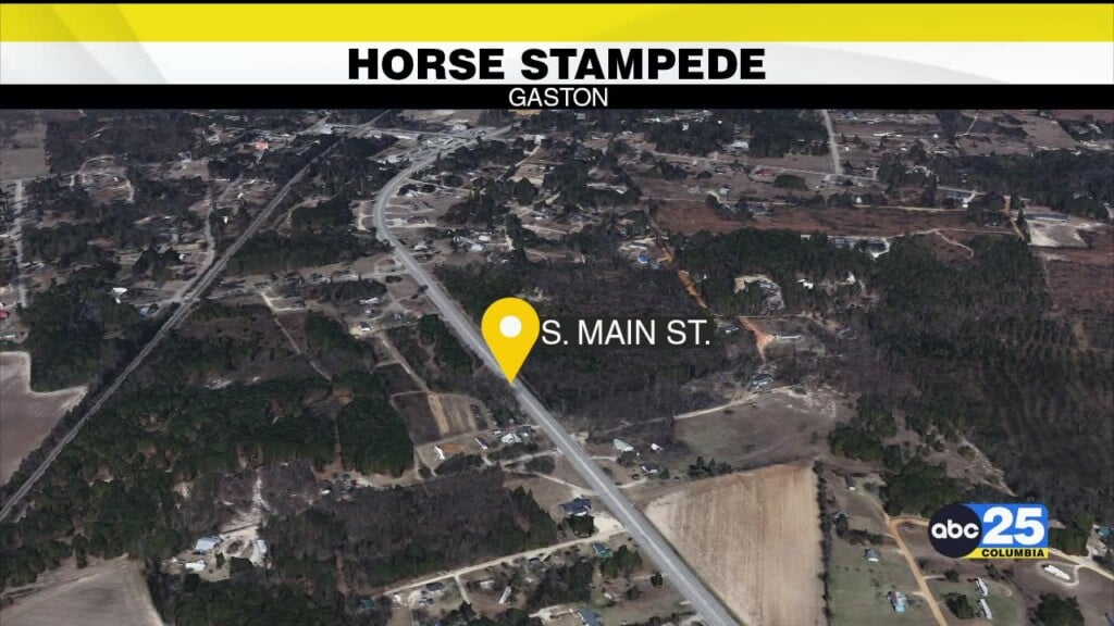 Gaston Police: Rodeo Organizer Facing Citation Following Stampede