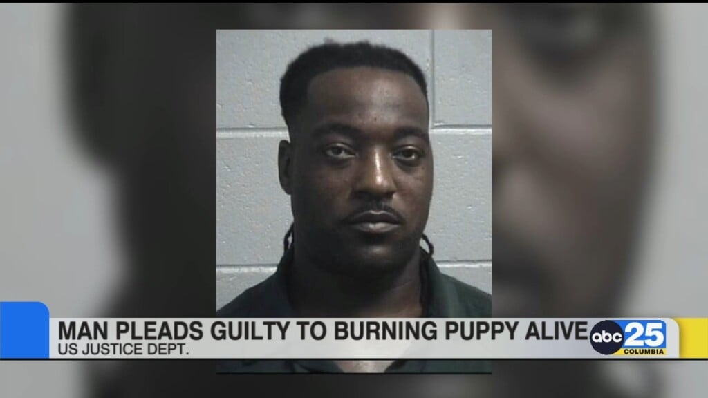 Orangeburg Man Pleads Guilty To Burning Puppy Alive
