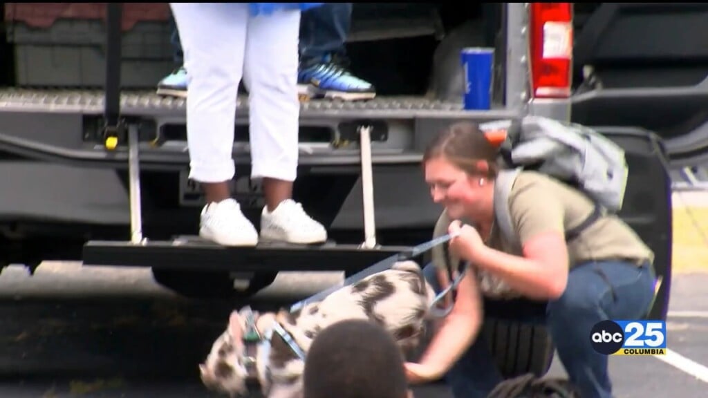 Elementary Principal Kisses Pig After Students Win Challenge