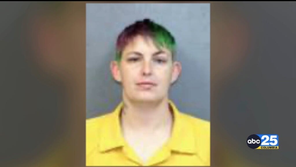 Kcso: Woman Turns Herself In Following Local Baseball Field Vandalism