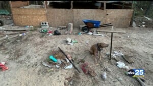 Kcso: Multiple Arrested Following Elgin Drug, And Animal Cruelty Investigation