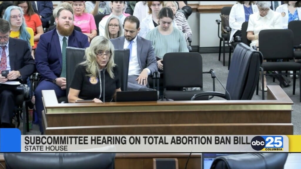 Subcommittee Holds Public Hearing On Total Abortion Ban Bill