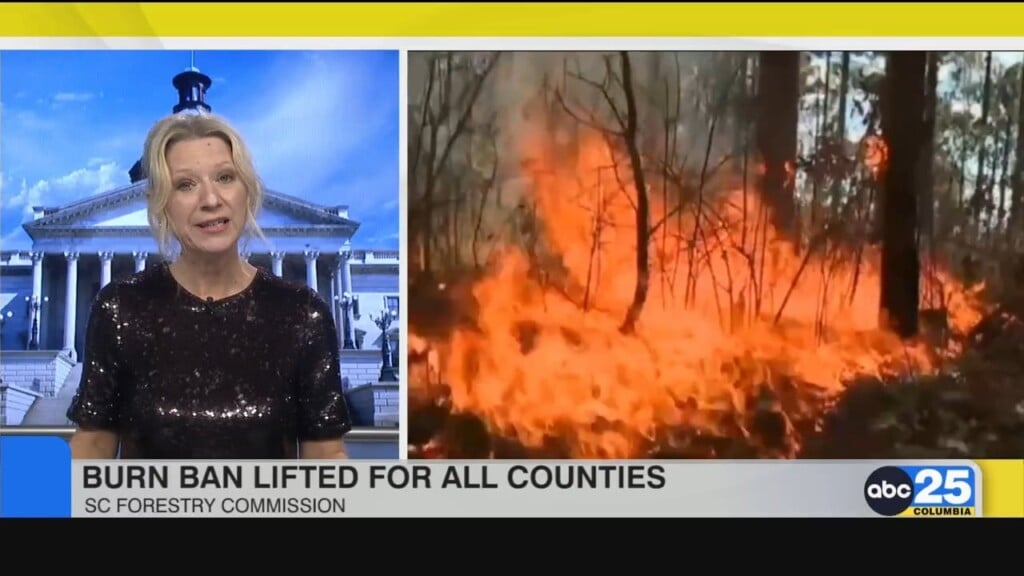 Burn Ban