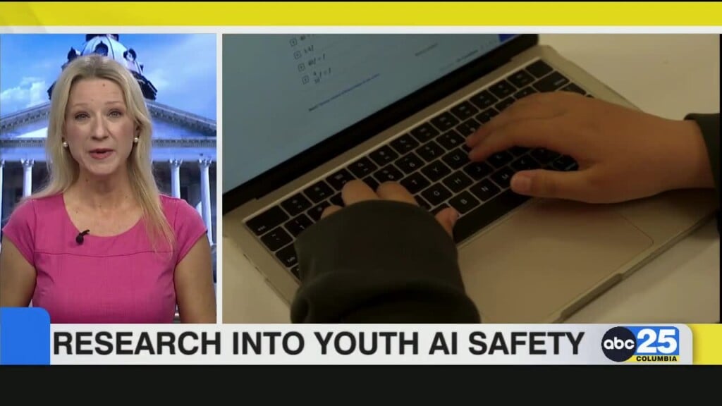 Research Into Youth Ai Safety
