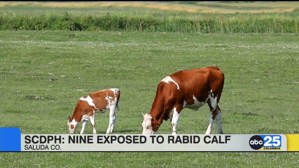 9 People In Saluda County Exposed To Rabid Calf
