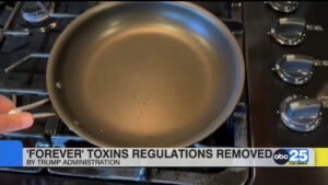 Landmark Regulations Against ‘forever’ Toxins Removed By Trump Administration
