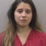 Pena Jasmine