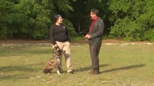Lcas Pet Of The Week: Marzano