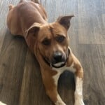 Jethro