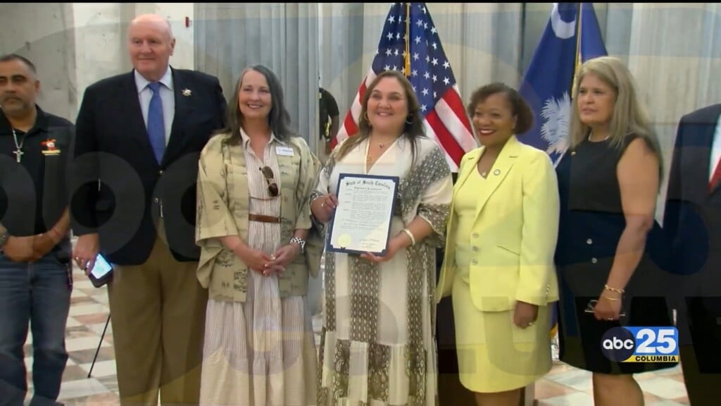 Multi Cultural Business Alliance Day At The State House
