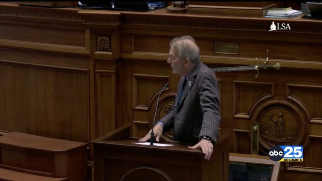 Debate On Congressional Redistricting Continues In Sc