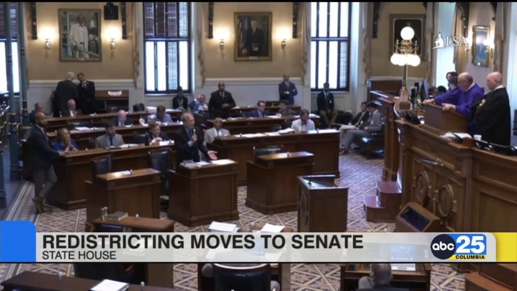 Senate Begins Redistricting Debate And Adjourns Early Evening, As Dems, Aclu Push Back