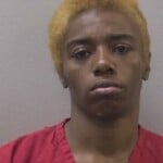Freeman Diantae Inell
