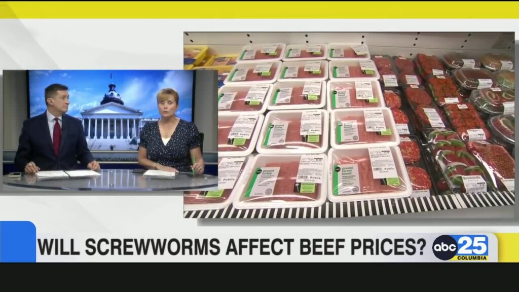 Will Screwworms Affect Beef Prices