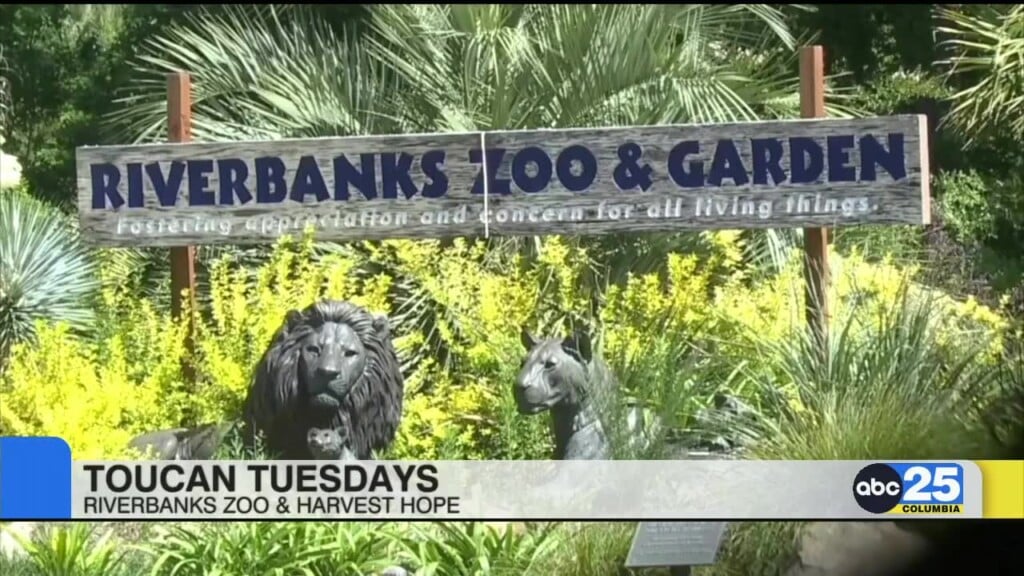 Local Living June 29, 2026