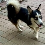 Benny
