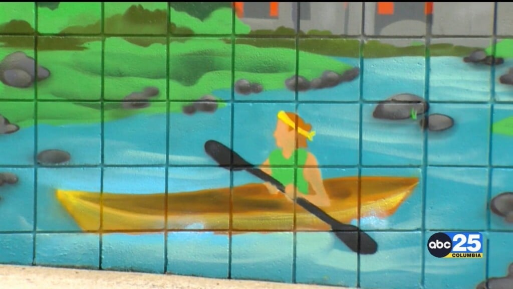 Keep The Midlands Beautiful Unveils New Mural At Finlay Park