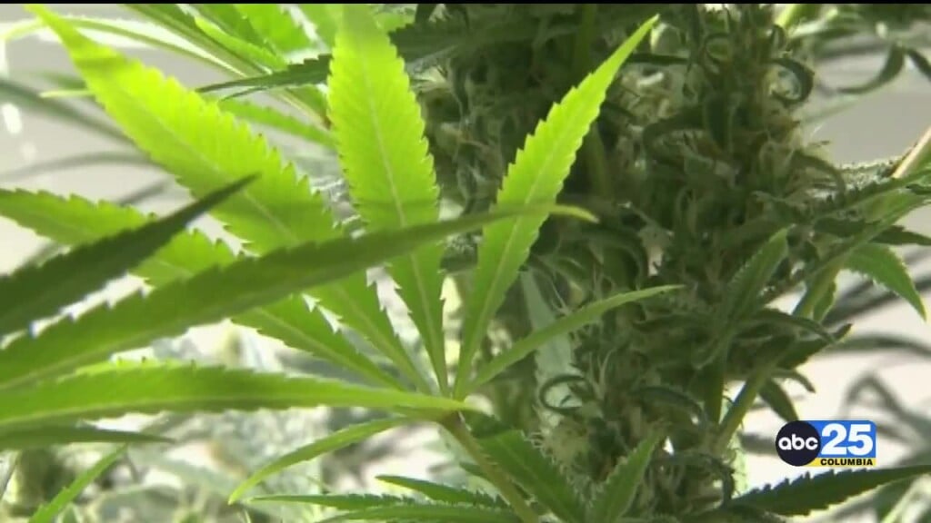 State Lawmakers End Special Session Without Passing New Rules For Hemp Based Thc Drinks, Edibles