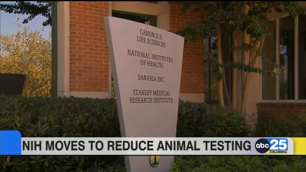 Nih Moves To Reduce Animal Testing