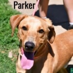 Parker