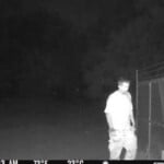 Orangeburg County 3