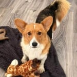 Maggie