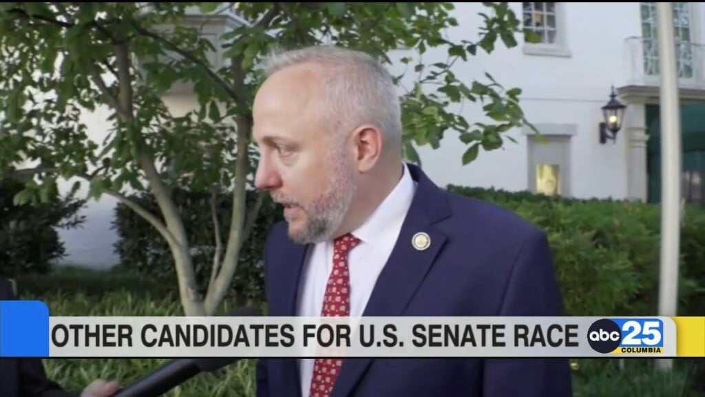 Other Candidates For U.s. Senate Race