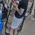 Food Lion Credit Card Theft