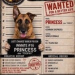 Princess
