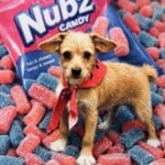 Nubz